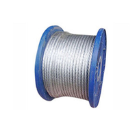 Cordas de aço de mola